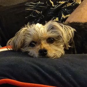 Meet your Posher, Gabrielle